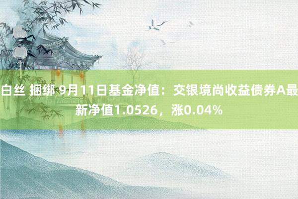 白丝 捆绑 9月11日基金净值：交银境尚收益债券A最新净值1.0526，涨0.04%