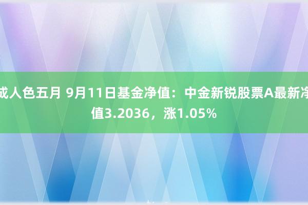 成人色五月 9月11日基金净值：中金新锐股票A最新净值3.2036，涨1.05%