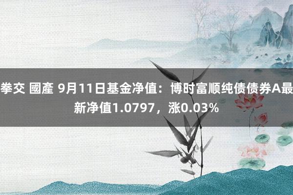 拳交 國產 9月11日基金净值：博时富顺纯债债券A最新净值1.0797，涨0.03%