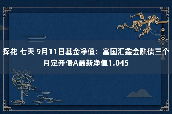 探花 七天 9月11日基金净值：富国汇鑫金融债三个月定开债A最新净值1.045