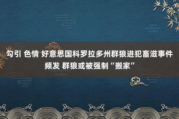 勾引 色情 好意思国科罗拉多州群狼进犯畜滋事件频发 群狼或被强制“搬家”