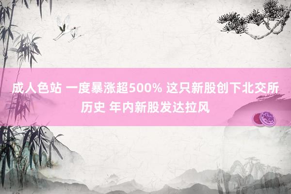 成人色站 一度暴涨超500% 这只新股创下北交所历史 年内新股发达拉风