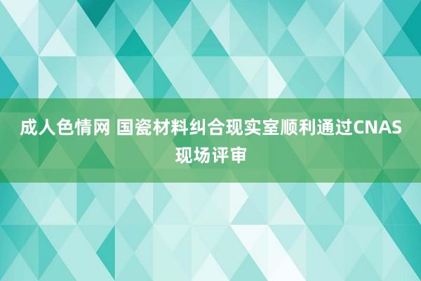 成人色情网 国瓷材料纠合现实室顺利通过CNAS现场评审