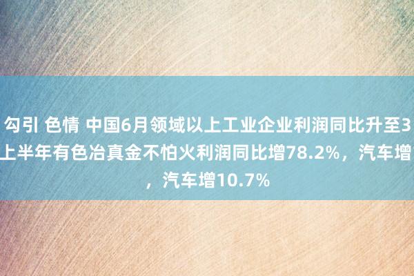 勾引 色情 中国6月领域以上工业企业利润同比升至3.6%，上半年有色冶真金不怕火利润同比增78.2%，汽车增10.7%