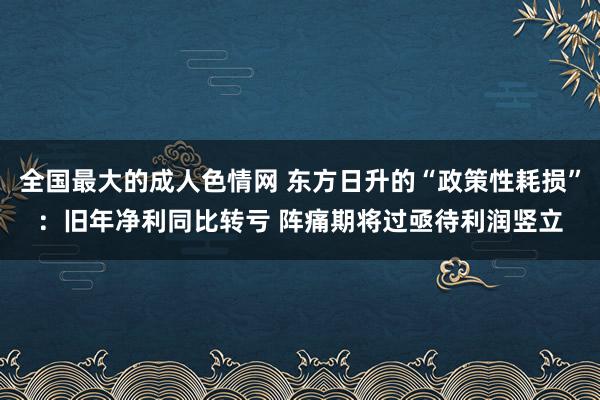 全国最大的成人色情网 东方日升的“政策性耗损”：旧年净利同比转亏 阵痛期将过亟待利润竖立