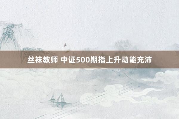 丝袜教师 中证500期指上升动能充沛