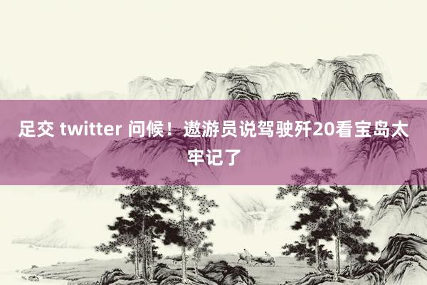 足交 twitter 问候！遨游员说驾驶歼20看宝岛太牢记了