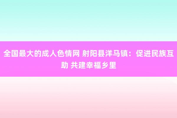 全国最大的成人色情网 射阳县洋马镇：促进民族互助 共建幸福乡里