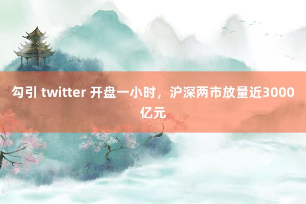 勾引 twitter 开盘一小时，沪深两市放量近3000亿元