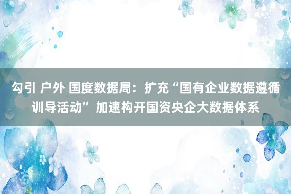 勾引 户外 国度数据局：扩充“国有企业数据遵循训导活动” 加速构开国资央企大数据体系