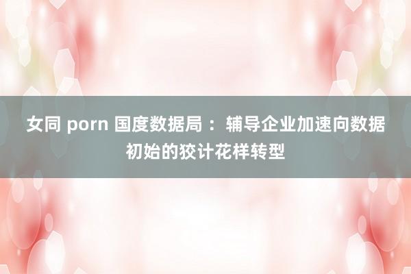 女同 porn 国度数据局 ：辅导企业加速向数据初始的狡计花样转型