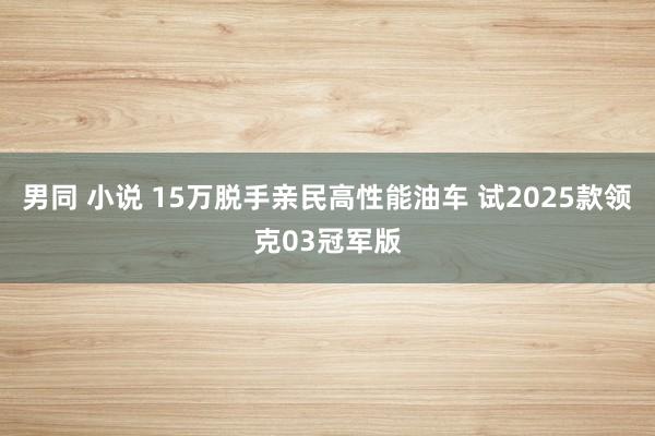 男同 小说 15万脱手亲民高性能油车 试2025款领克03冠军版