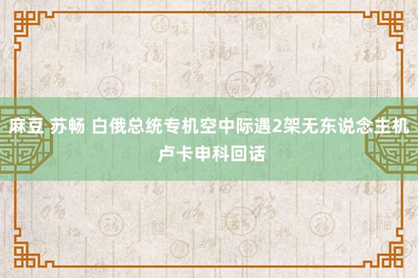 麻豆 苏畅 白俄总统专机空中际遇2架无东说念主机 卢卡申科回话