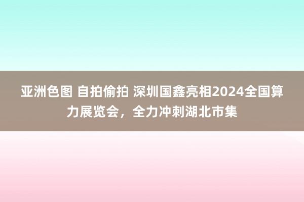 亚洲色图 自拍偷拍 深圳国鑫亮相2024全国算力展览会，全力冲刺湖北市集