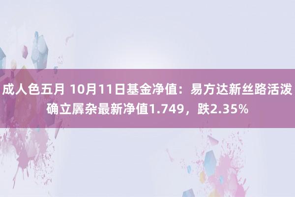 成人色五月 10月11日基金净值：易方达新丝路活泼确立羼杂最新净值1.749，跌2.35%