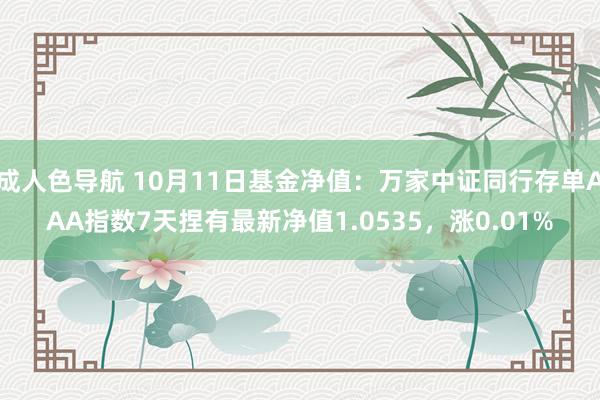 成人色导航 10月11日基金净值：万家中证同行存单AAA指数7天捏有最新净值1.0535，涨0.01%