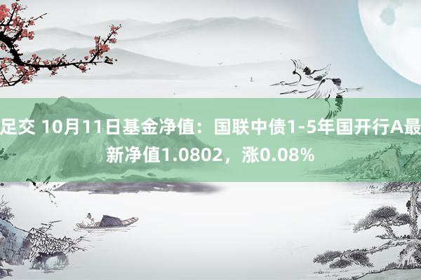 足交 10月11日基金净值：国联中债1-5年国开行A最新净值1.0802，涨0.08%