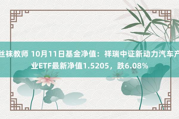 丝袜教师 10月11日基金净值：祥瑞中证新动力汽车产业ETF最新净值1.5205，跌6.08%