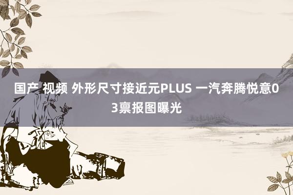 国产 视频 外形尺寸接近元PLUS 一汽奔腾悦意03禀报图曝光