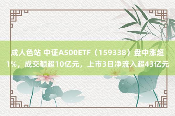 成人色站 中证A500ETF（159338）盘中涨超1%，成交额超10亿元，上市3日净流入超43亿元