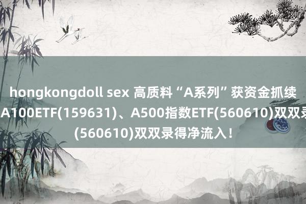 hongkongdoll sex 高质料“A系列”获资金抓续怜惜，中证A100ETF(159631)、A500指数ETF(560610)双双录得净流入！