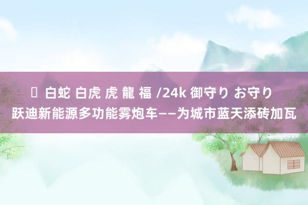 ✨白蛇 白虎 虎 龍 福 /24k 御守り お守り 跃迪新能源多功能雾炮车——为城市蓝天添砖加瓦