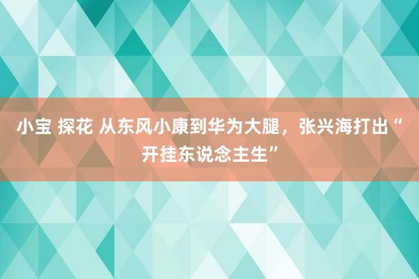 小宝 探花 从东风小康到华为大腿，张兴海打出“开挂东说念主生”