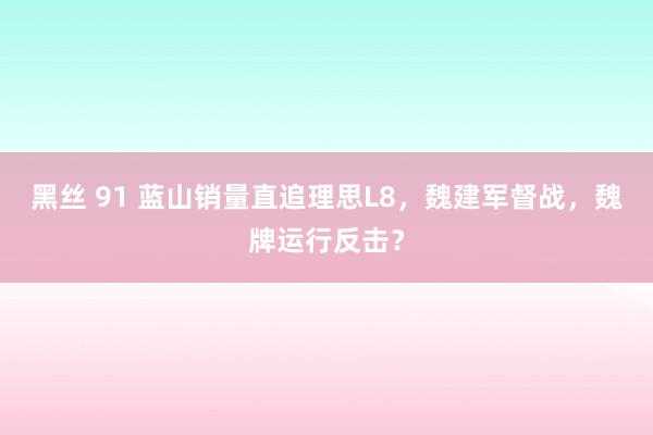 黑丝 91 蓝山销量直追理思L8，魏建军督战，魏牌运行反击？