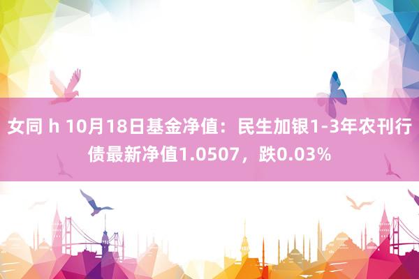 女同 h 10月18日基金净值：民生加银1-3年农刊行债最新净值1.0507，跌0.03%