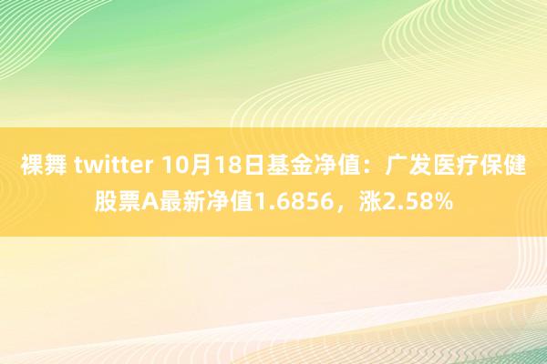 裸舞 twitter 10月18日基金净值：广发医疗保健股票A最新净值1.6856，涨2.58%