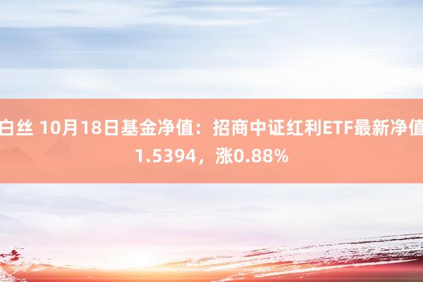 白丝 10月18日基金净值：招商中证红利ETF最新净值1.5394，涨0.88%