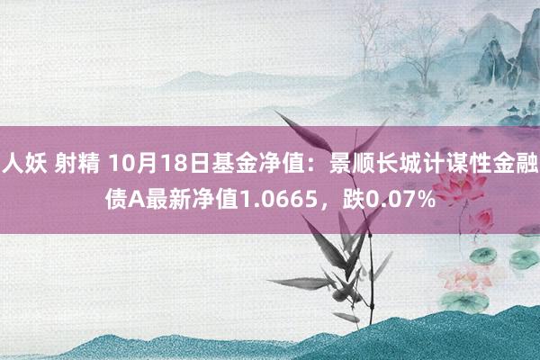 人妖 射精 10月18日基金净值：景顺长城计谋性金融债A最新净值1.0665，跌0.07%