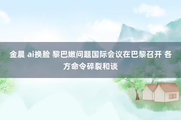 金晨 ai换脸 黎巴嫩问题国际会议在巴黎召开 各方命令碎裂和谈