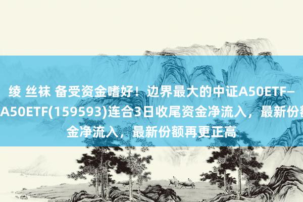 绫 丝袜 备受资金嗜好！边界最大的中证A50ETF——吉利中证A50ETF(159593)连合3日收尾资金净流入，最新份额再更正高