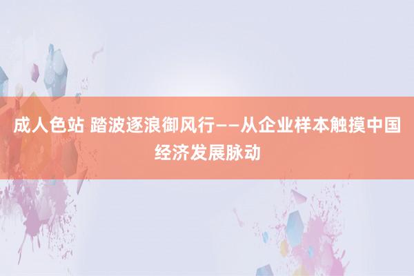 成人色站 踏波逐浪御风行——从企业样本触摸中国经济发展脉动