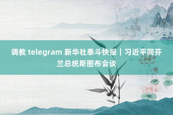 调教 telegram 新华社泰斗快报｜习近平同芬兰总统斯图布会谈