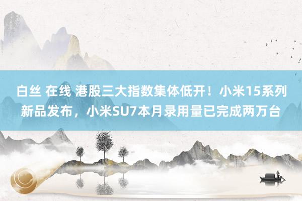 白丝 在线 港股三大指数集体低开！小米15系列新品发布，小米SU7本月录用量已完成两万台