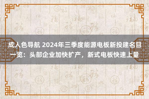 成人色导航 2024年三季度能源电板新投建名目一览：头部企业加快扩产，新式电板快速上量