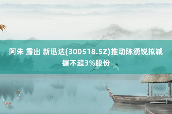 阿朱 露出 新迅达(300518.SZ)推动陈湧锐拟减握不超3%股份