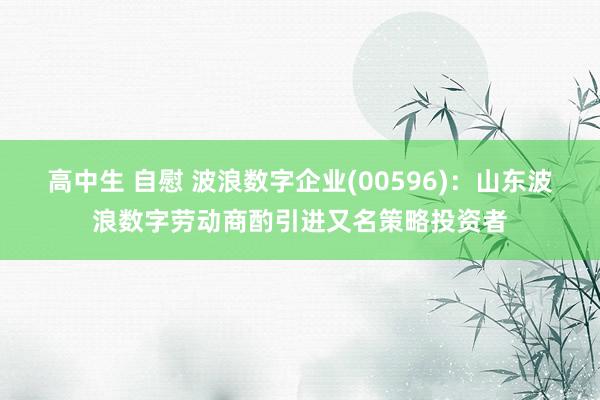 高中生 自慰 波浪数字企业(00596)：山东波浪数字劳动商酌引进又名策略投资者