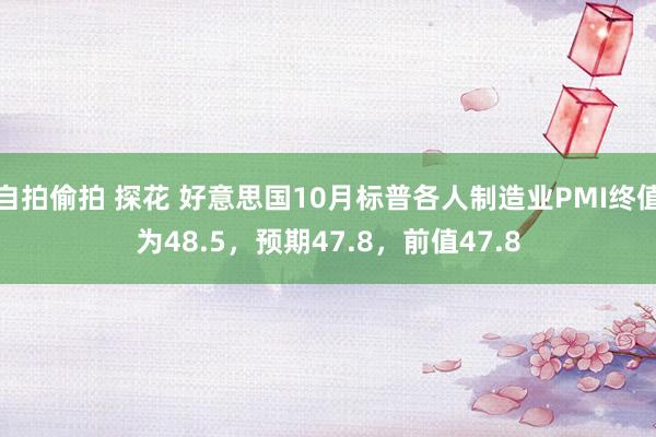 自拍偷拍 探花 好意思国10月标普各人制造业PMI终值为48.5，预期47.8，前值47.8