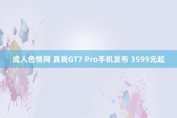 成人色情网 真我GT7 Pro手机发布 3599元起