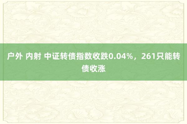 户外 内射 中证转债指数收跌0.04%，261只能转债收涨