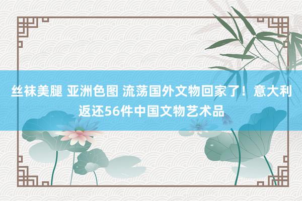 丝袜美腿 亚洲色图 流荡国外文物回家了！意大利返还56件中国文物艺术品