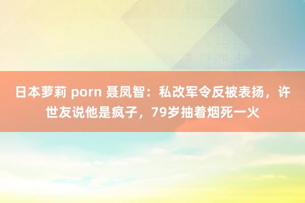 日本萝莉 porn 聂凤智：私改军令反被表扬，许世友说他是疯子，79岁抽着烟死一火