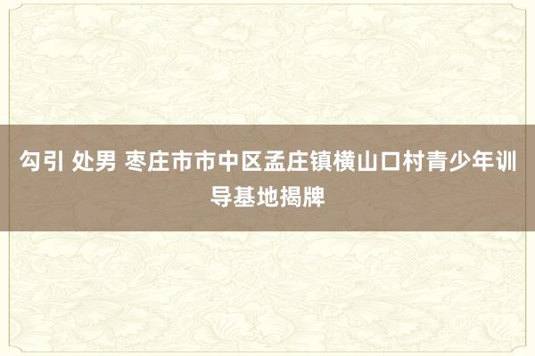 勾引 处男 枣庄市市中区孟庄镇横山口村青少年训导基地揭牌