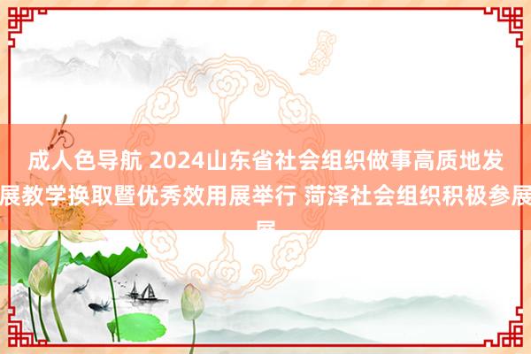 成人色导航 2024山东省社会组织做事高质地发展教学换取暨优秀效用展举行 菏泽社会组织积极参展