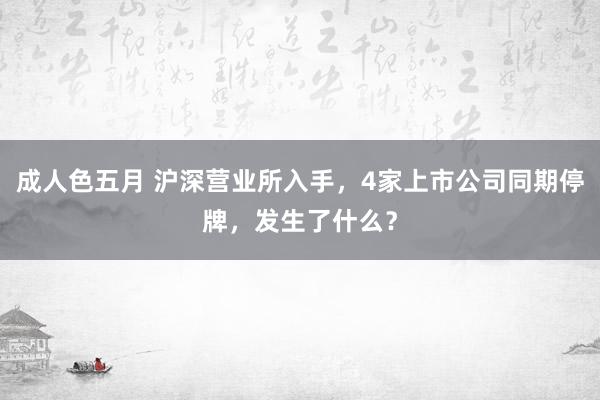 成人色五月 沪深营业所入手，4家上市公司同期停牌，发生了什么？