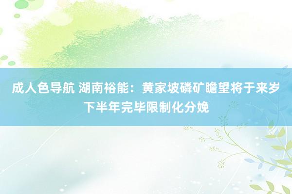 成人色导航 湖南裕能：黄家坡磷矿瞻望将于来岁下半年完毕限制化分娩