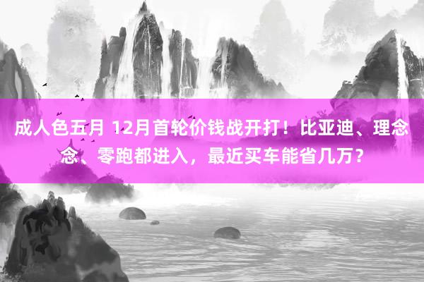 成人色五月 12月首轮价钱战开打！比亚迪、理念念、零跑都进入，最近买车能省几万？